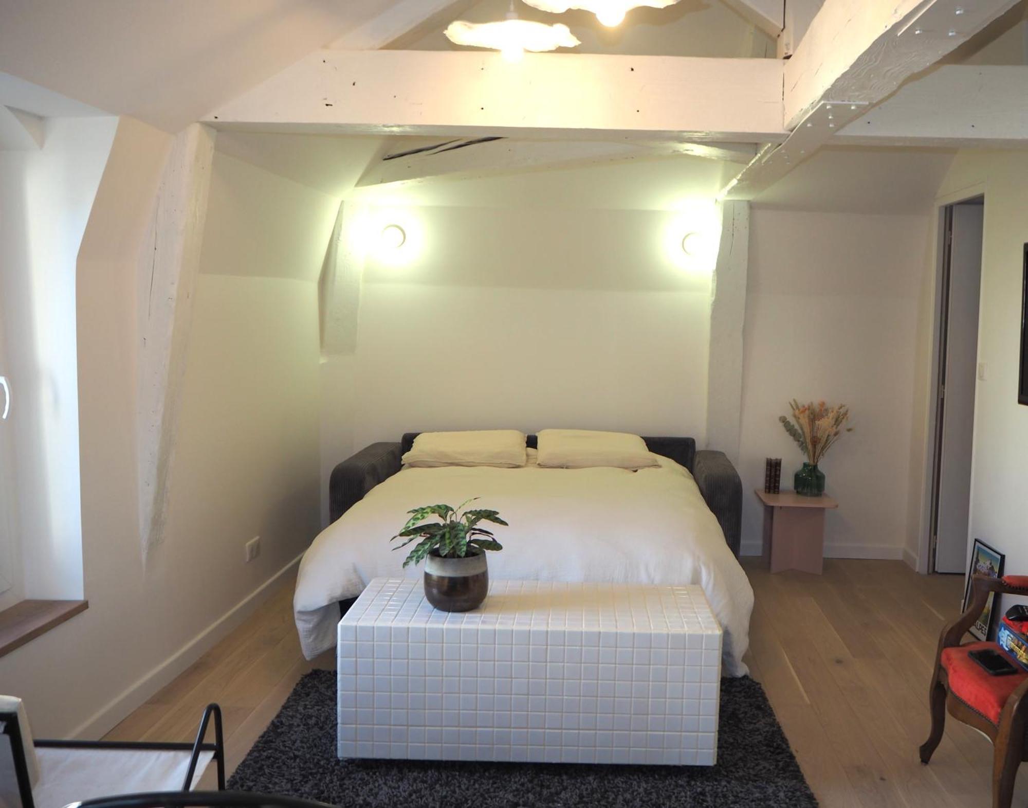 Les Baleines - Hypercentre 2 Chambres Avec Garage Et Clim - Air Conditioning グルノーブル エクステリア 写真
